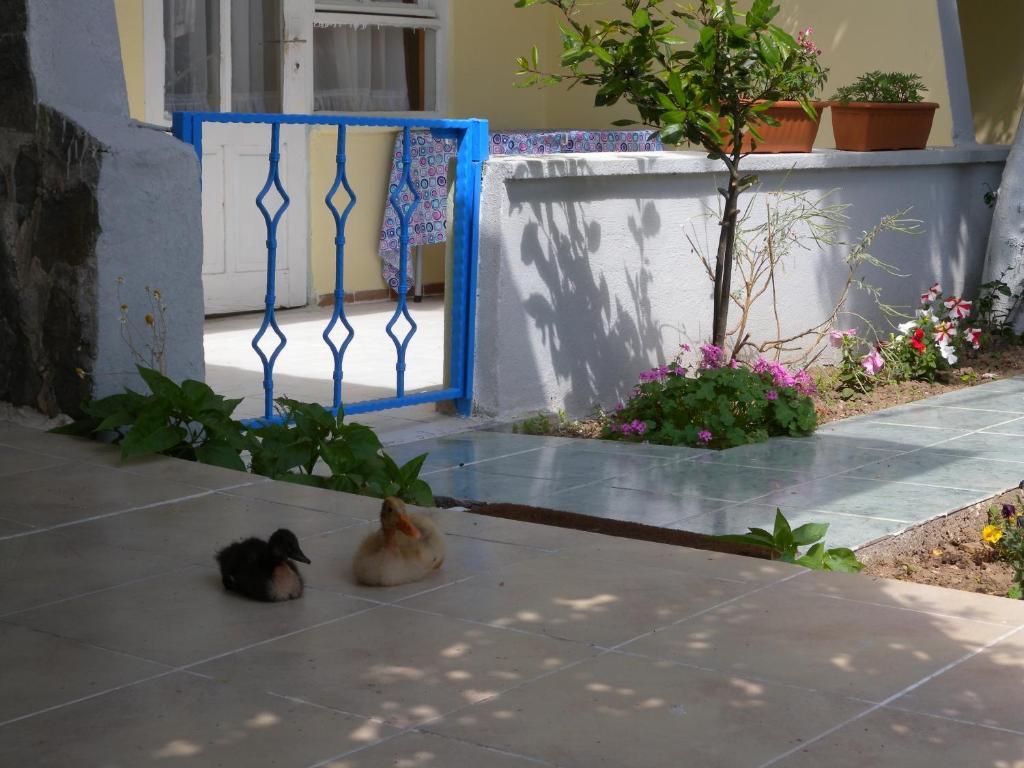 Eysan Pansiyon Akçay Exterior photo